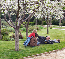 A family in a park lying on the grass under flowering trees