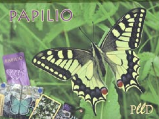 Papilio