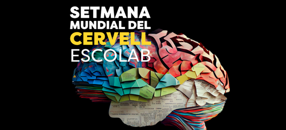 Dia Mundial del Cervell