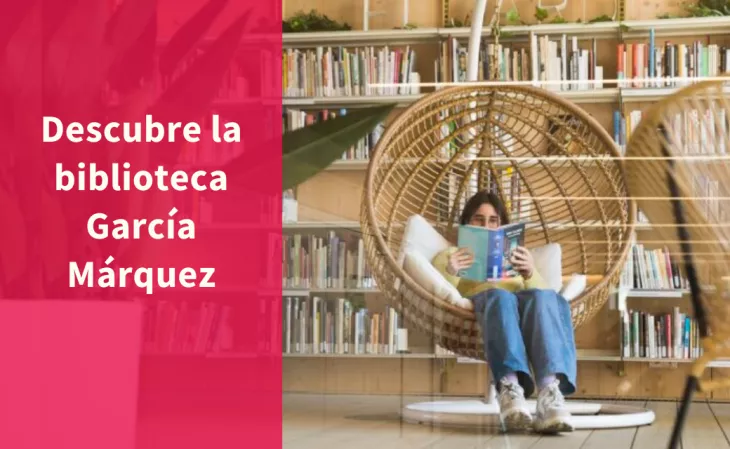 Girl reading in the library