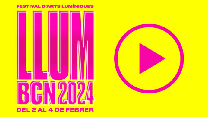 Vídeo Instal·lació 2024