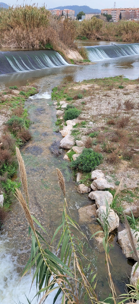 Aportación de agua regenerada en el río Llobregat. © Agència Catalana de l’Aigua