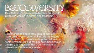 Beeodiversity