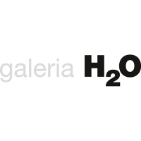 Logo H2O