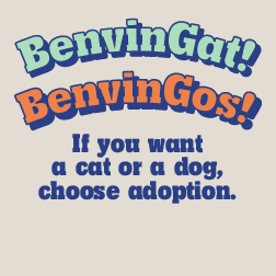 Banner with the text: Benvingut Gat! Benvingut Gos! If you want a cat or a dog, choose adoption.