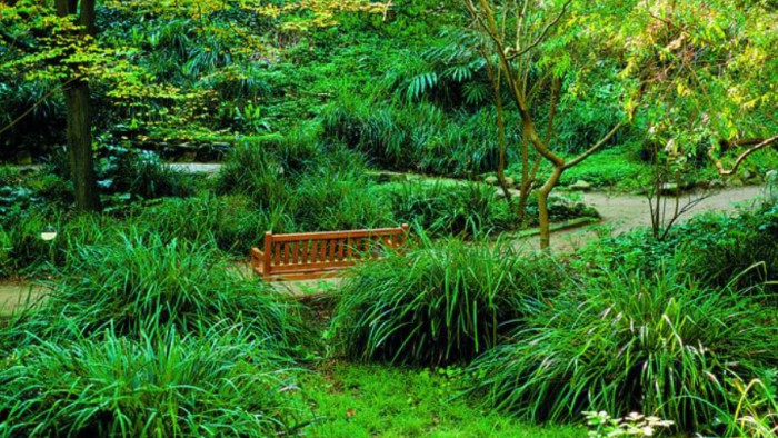 Jardí Botànic Històric. Fotografia d’Ernest Costa