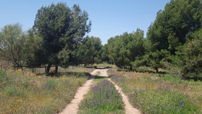 Fotografía de los caminos del barrio de la Marina