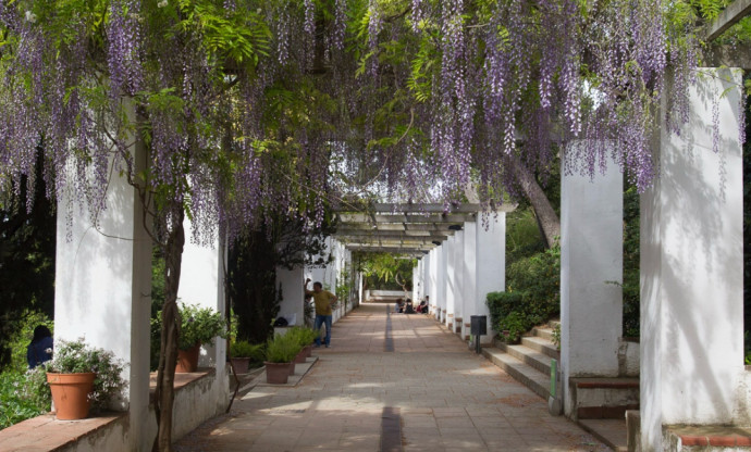 Fotografía de los Jardines de Laribal