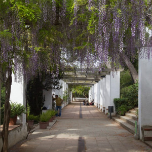 Fotografia dels Jardins de Laribal